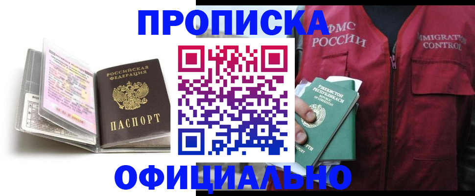 прописка 2025 в Курчалом